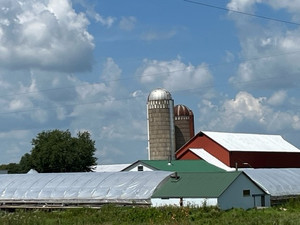 Pleasant Valley Produce/St. Croix Valley CSA