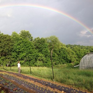 Uncle Henry's Garden
