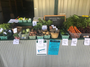 Dolgeville Farmers Market