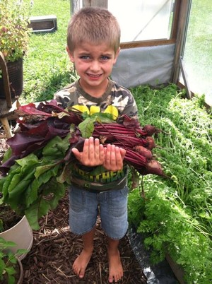 Laughing Frog Farm