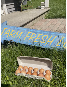 Wright Harvest