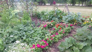 Teemie's Country Blooms LLC