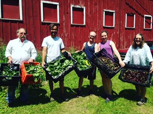 Upbeet Produce