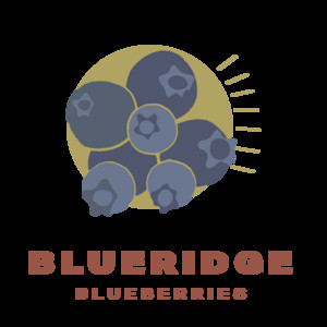 Blueridge Blueberries