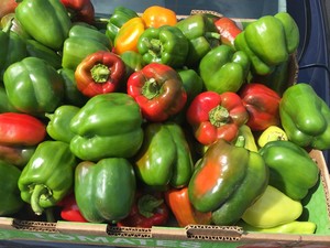 Teter Organic Farm
