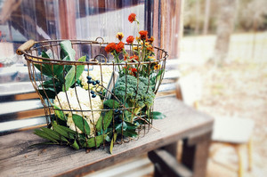 Cold Creek Natural Farm