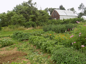 Hide and Go Peep Farm