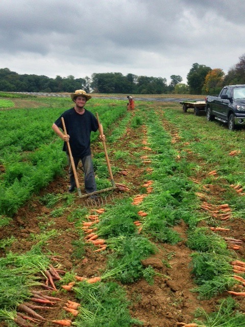 Gorman Farms - LocalHarvest