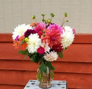 Jesse's Flower Farm
