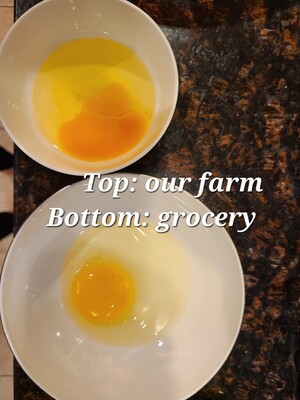 7bros Farm
