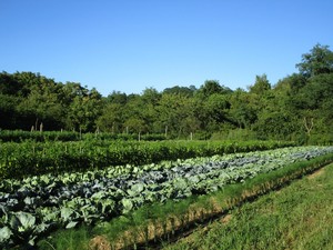 Restoration Farm