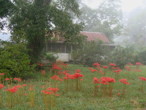 Turkey Hill Farm