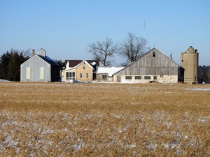 Bluebird Ridge Homestead