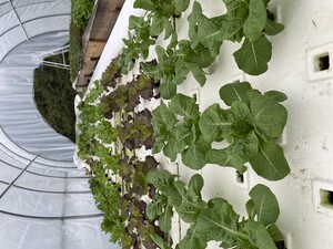 Tiger Valley Farm