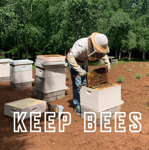 Oregon Bee Keeper