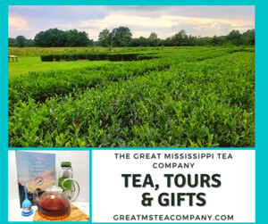 The Great Mississippi Tea Company