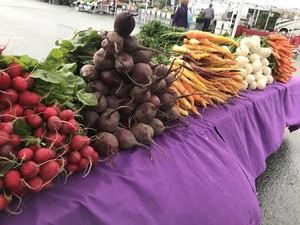 Sun Circle Farm