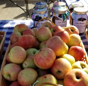 Scio Farms LLC