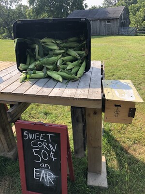 Martin Brown Farm