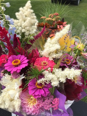 Dusty Roads Cut Flower Farm