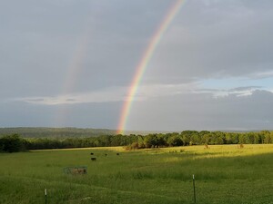 Cedar Hollow Farm