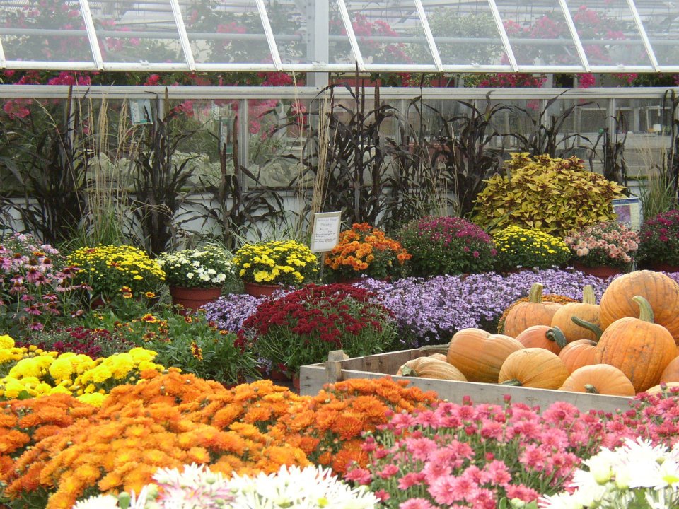 Griggs Farm - LocalHarvest