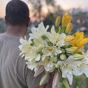 Flower Shower Farm