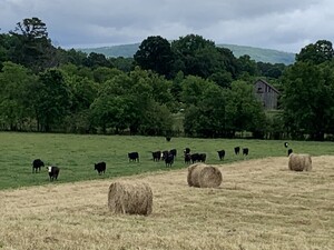 Possum Trot Farm