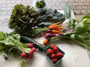 Fruitful Hills CSA
