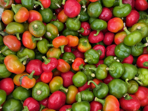 CitySeed's Edgewood Park Farmers Market