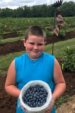 Ozark Berry Farm, LLC