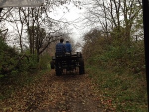 Lanes End Farm