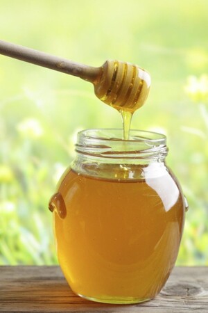 Gallberry Honey
