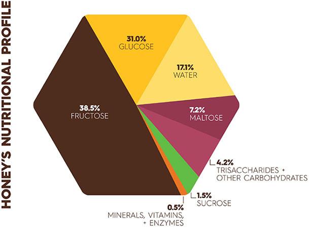 nutrition_profile_2.jpg