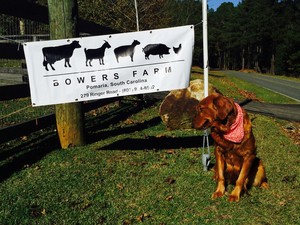 Bowers Farm