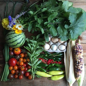 Winslow Food Forest