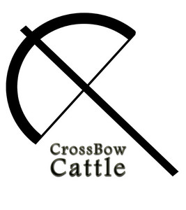 Crossbow Cattle, Inc