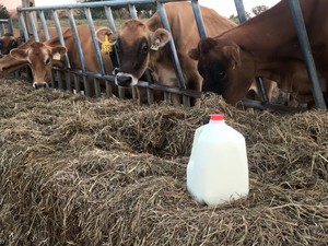 Moo 2 U Dairy