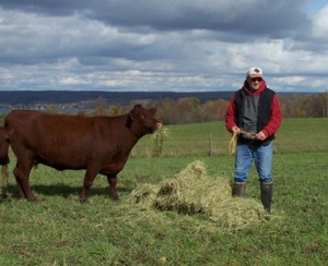 Spas Farm LLC