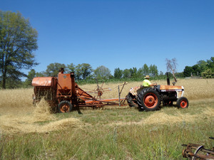 The Mannor Farm LLC