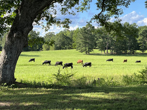 Findley Farms