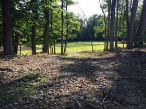 Aukerman Creek Farm