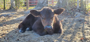 R Ranch and Farm