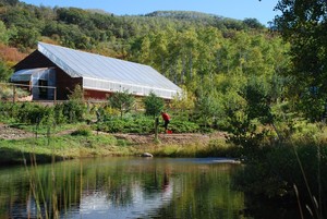 Elkstone Farm