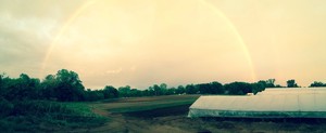 Titus Farms