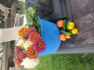 Rapid River Farm