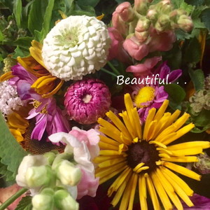 Darnell School Farm // Lovin' Locally Grown