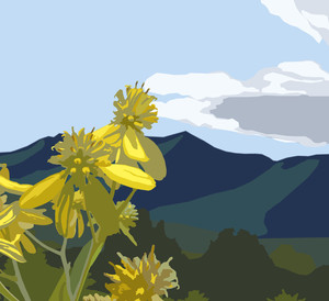 Wingstem Farm