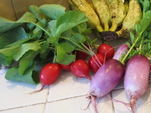 Local Farms CSA