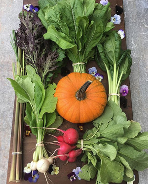 Circleculture Farm